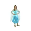 Costume Enfant Reine Des Glaces Taille 7-9 Ans (M)