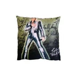 Coussin Johnny Hallyday (7)