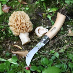 Couteau à Champignons OPINEL- 955 -Truc Chic Soldes Magasin couteau a champignons opinel 955 2