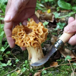 Couteau à Champignons OPINEL- 955 -Truc Chic Soldes Magasin couteau a champignons opinel 955 4