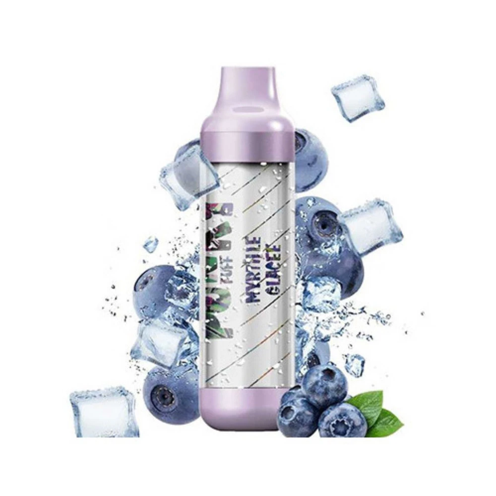 E-Cigarette Jetable 5000 Puffs Punky Puff - Myrtille Glacée Sans Nicotine Ni Tabac 3 E-Cigarette Jetable 5000 Puffs Punky Puff - Myrtille Glacée Sans Nicotine Ni Tabac – Image 3