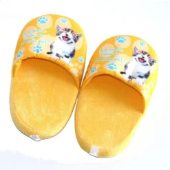 Pantoufle Le Matin J'suis Mauvais Poil !