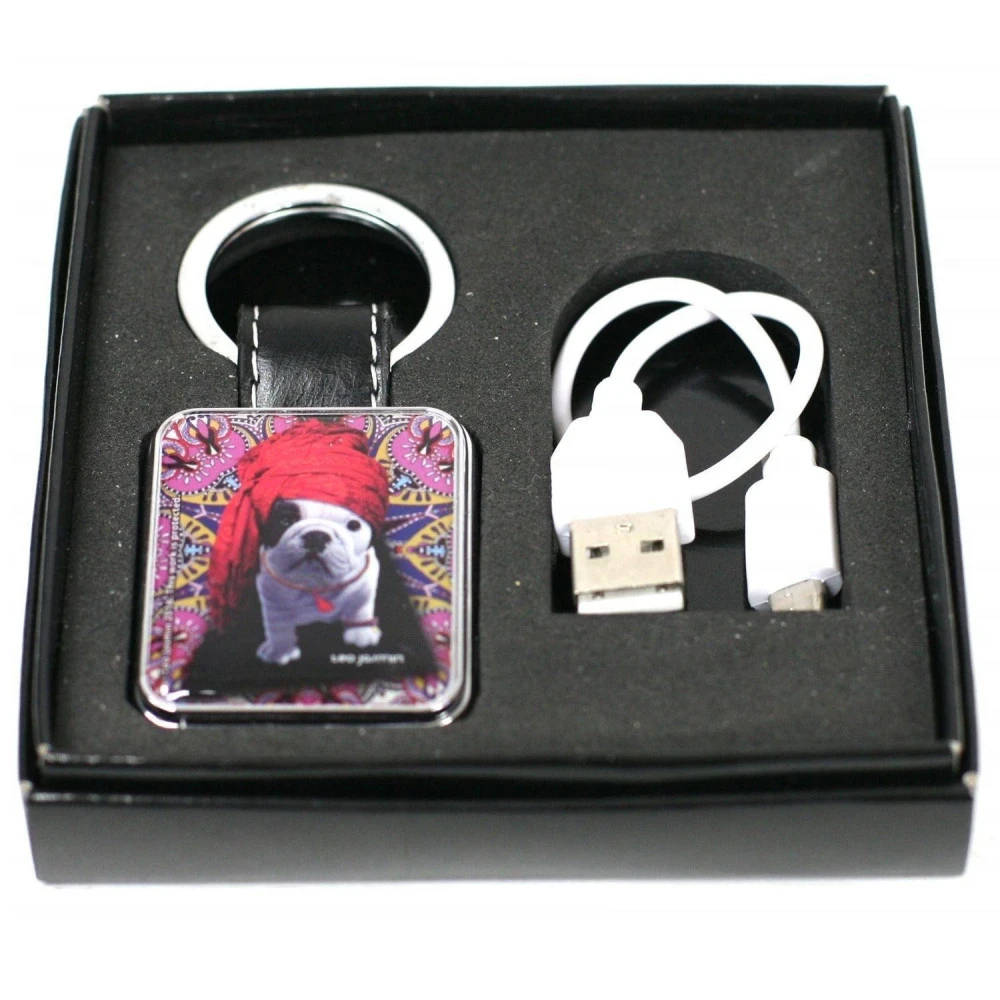 Champ Porte Clef / Briquet USB - Chien Fakir 2 Champ Porte Clef / Briquet USB - Chien Fakir – Image 2