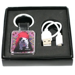 Champ Porte Clef / Briquet USB - Chien Fakir